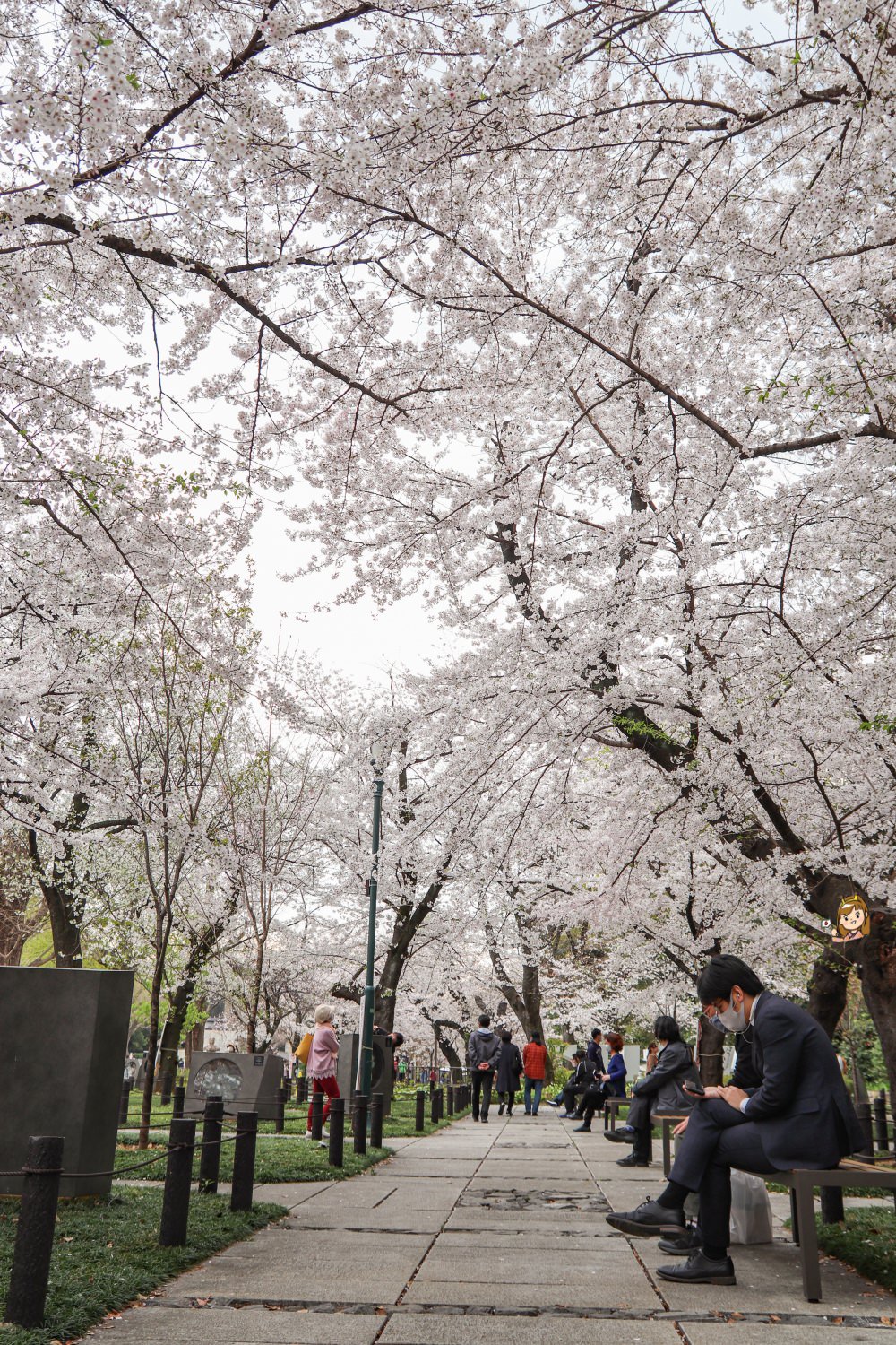 東京賞櫻必去景點23選!上野、千鳥之淵、新宿御苑等櫻花景點與櫻花秘境懶人包~(持續更新) - 第24張圖 九段下千鳥之淵賞櫻