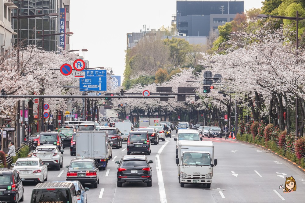 東京賞櫻必去景點23選!上野、千鳥之淵、新宿御苑等櫻花景點與櫻花秘境懶人包~(持續更新) - 第21張圖 九段下千鳥之淵賞櫻