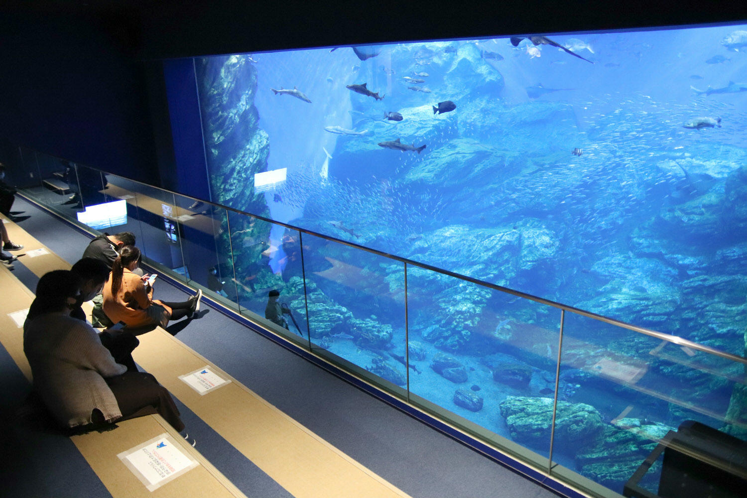 仙台水族館-22