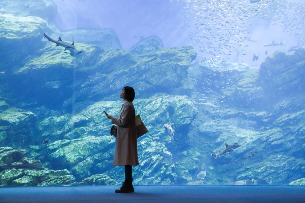 仙台水族館-32