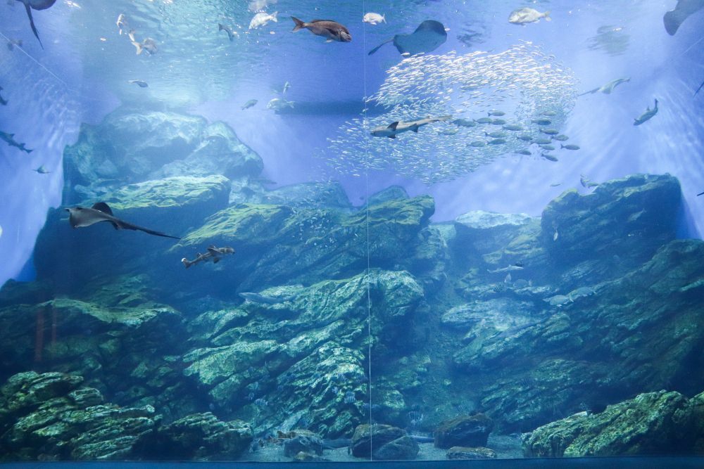 仙台水族館