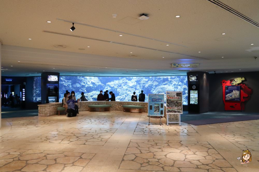 沖繩必去景點「沖繩美麗海水族館」