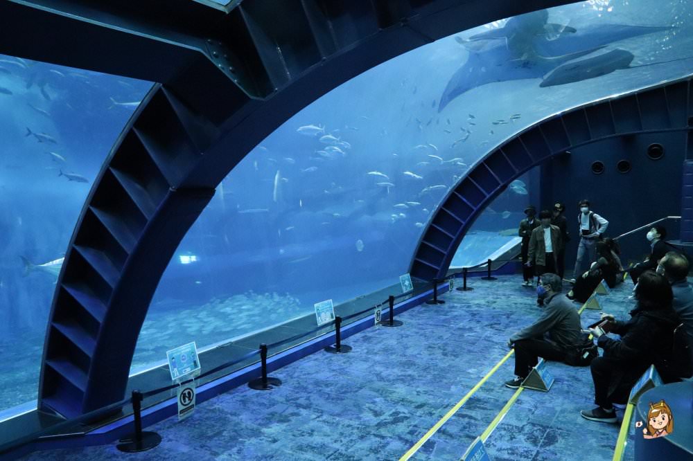 沖繩必去景點「沖繩美麗海水族館」