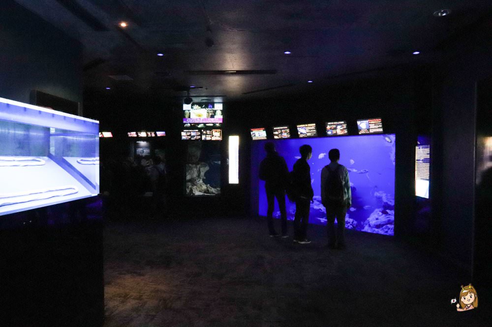 沖繩必去景點「沖繩美麗海水族館」