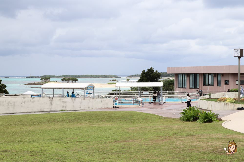 沖繩必去景點「沖繩美麗海水族館」