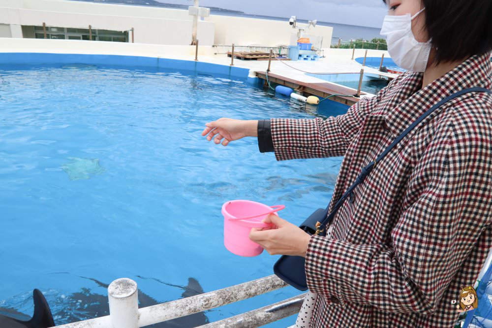 沖繩必去景點「沖繩美麗海水族館」