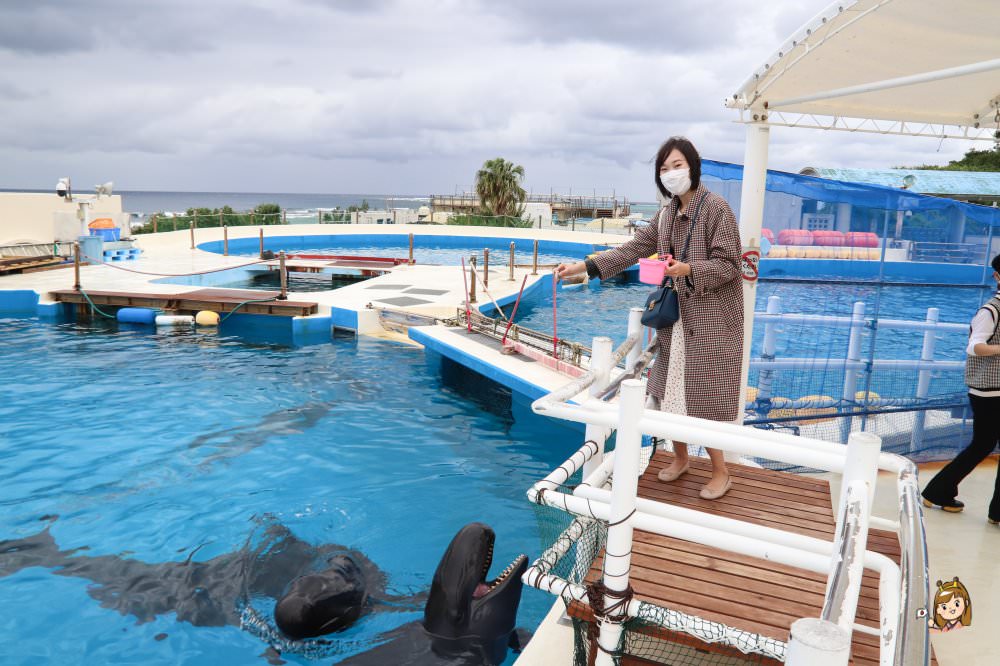 沖繩必去景點「沖繩美麗海水族館」