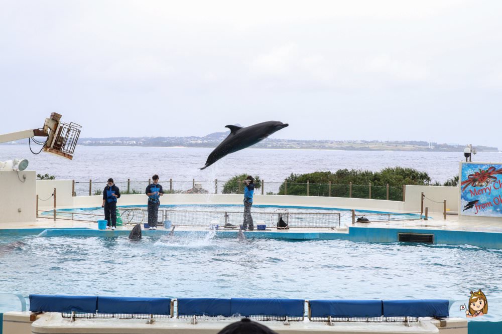 沖繩必去景點「沖繩美麗海水族館」