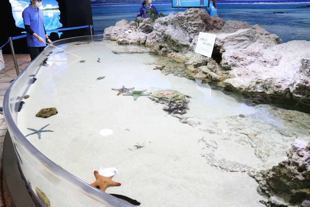 沖繩必去景點「沖繩美麗海水族館」