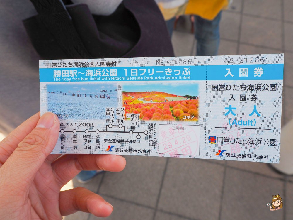 【東京近郊賞花景點】茨城縣常陸海濱公園~「世界十大浪漫花田」浪漫粉蝶花海!含交通資訊介紹! - 第3張圖 茨城縣國營常陸海濱公園