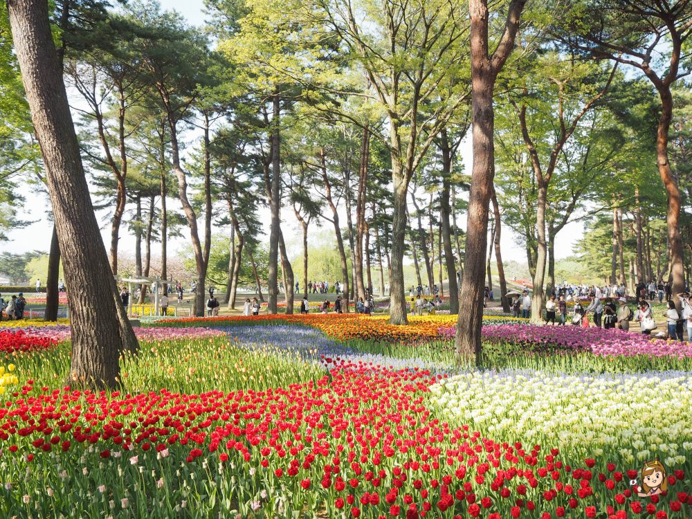 【東京近郊賞花景點】茨城縣常陸海濱公園~「世界十大浪漫花田」浪漫粉蝶花海!含交通資訊介紹! - 第4張圖 茨城縣國營常陸海濱公園