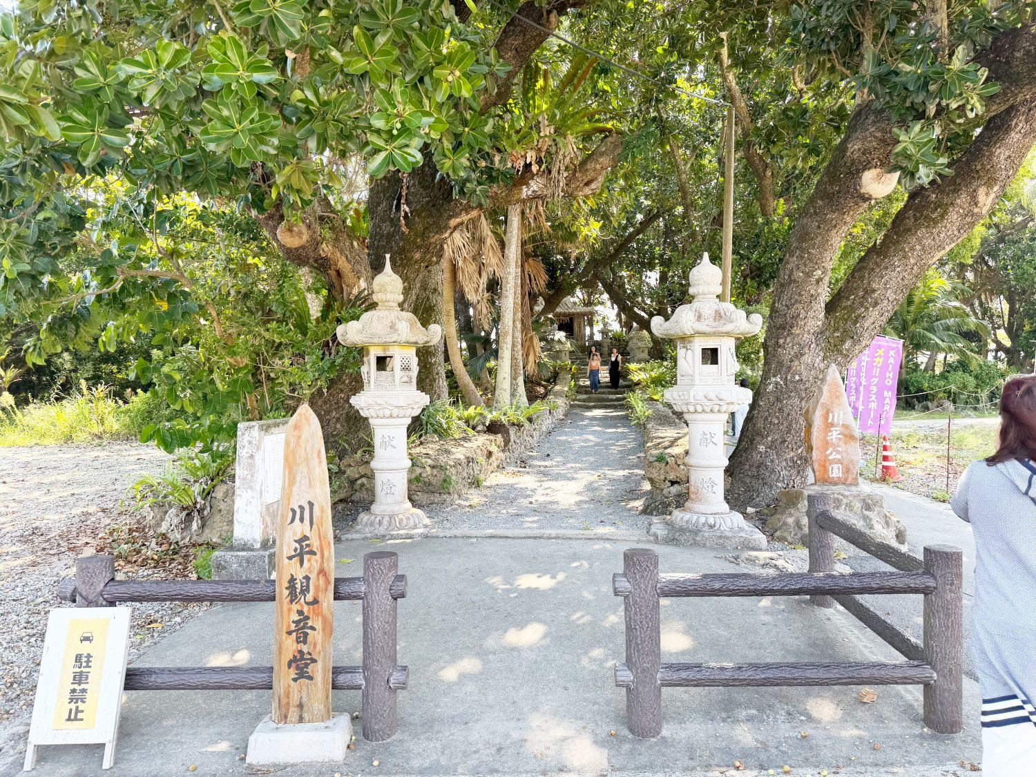 石垣島四天三夜行程攻略！半跟團半自由行懶人簡單就能玩石垣島！AsiaYo 精選行程輕鬆玩西表島・由布島、三線體驗、幻影島