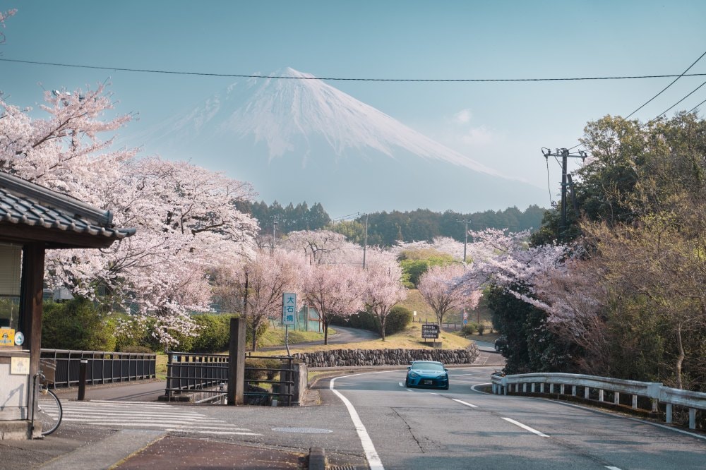 富士山櫻花景點推薦|龍巖淵・大石寺・小田原城+箱根住宿1泊2日自由行攻略 - 第3張圖 富士山櫻花景點推薦|龍巖淵・大石寺・小田原城+箱根住宿1泊2日自由行攻略