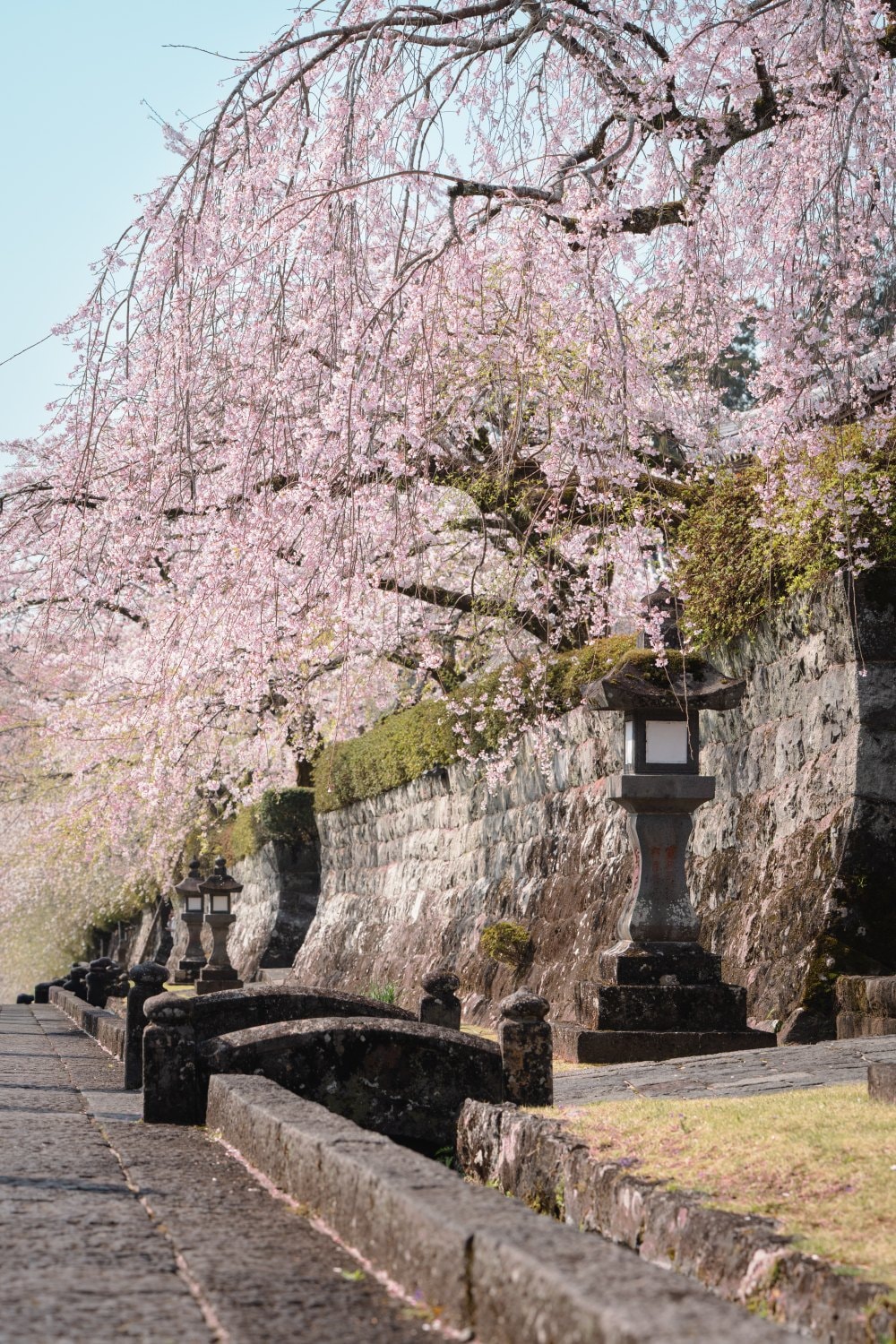 富士山櫻花景點推薦|龍巖淵・大石寺・小田原城+箱根住宿1泊2日自由行攻略 - 第4張圖 富士山櫻花景點推薦|龍巖淵・大石寺・小田原城+箱根住宿1泊2日自由行攻略