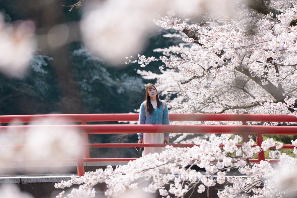 富士山櫻花景點推薦|龍巖淵・大石寺・小田原城+箱根住宿1泊2日自由行攻略 - 第1張圖 富士山櫻花景點推薦|龍巖淵・大石寺・小田原城+箱根住宿1泊2日自由行攻略