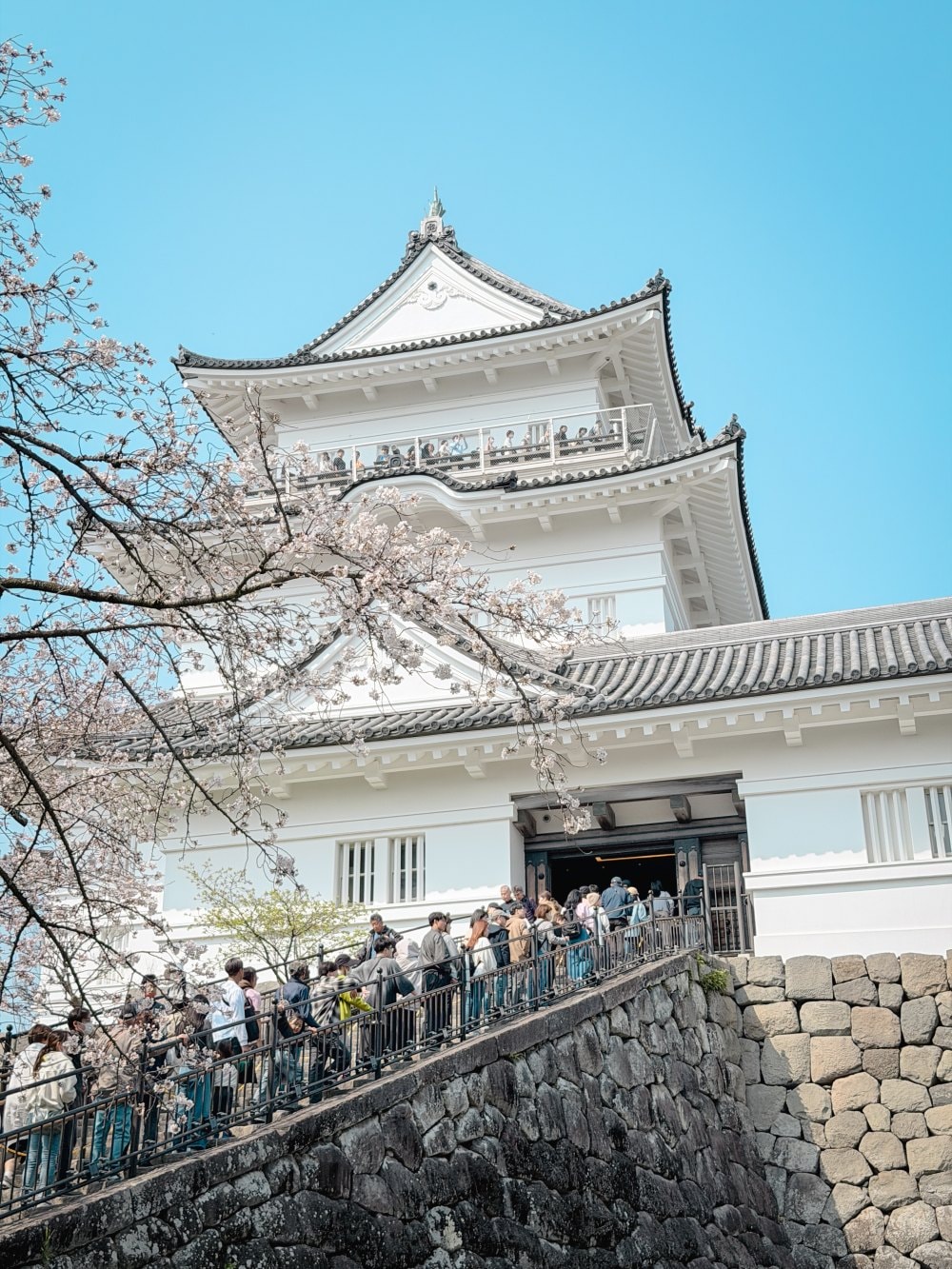 富士山櫻花景點推薦|龍巖淵・大石寺・小田原城+箱根住宿1泊2日自由行攻略 - 第5張圖 富士山櫻花景點推薦|龍巖淵・大石寺・小田原城+箱根住宿1泊2日自由行攻略