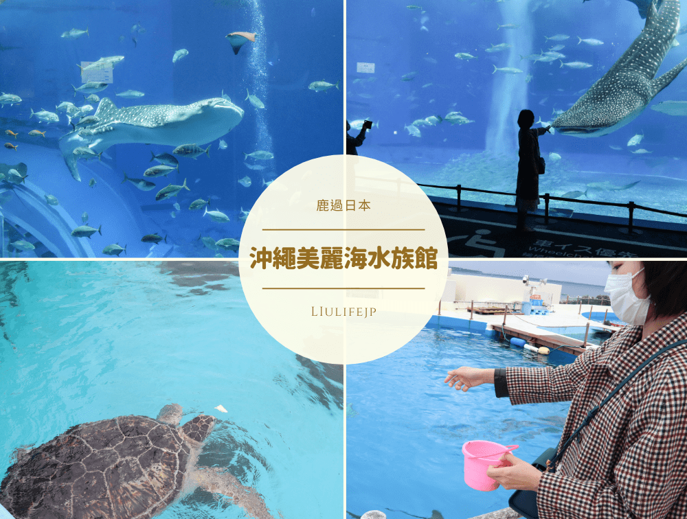 沖繩美麗海水族館介紹 沖繩必去觀光