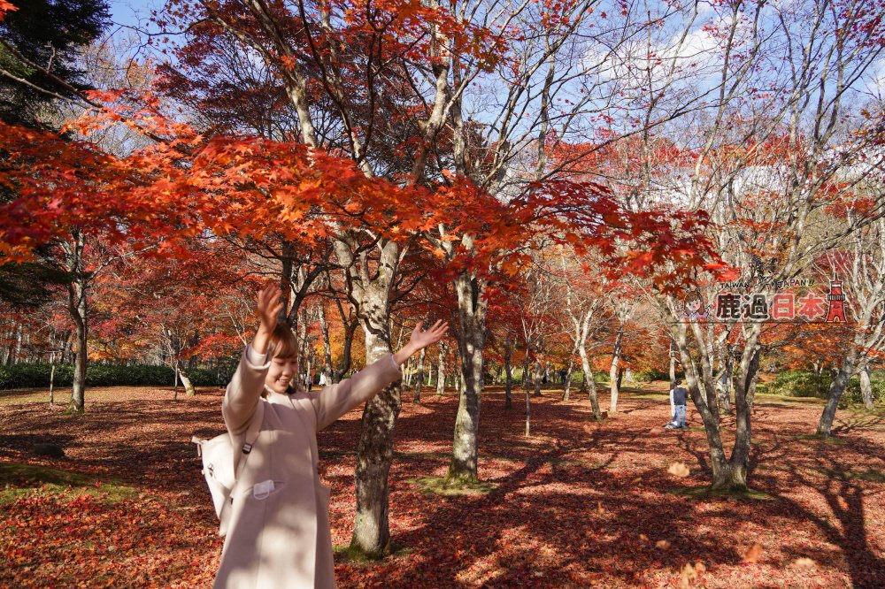 北海道十勝地區秋季賞紅葉景點「福原山莊」