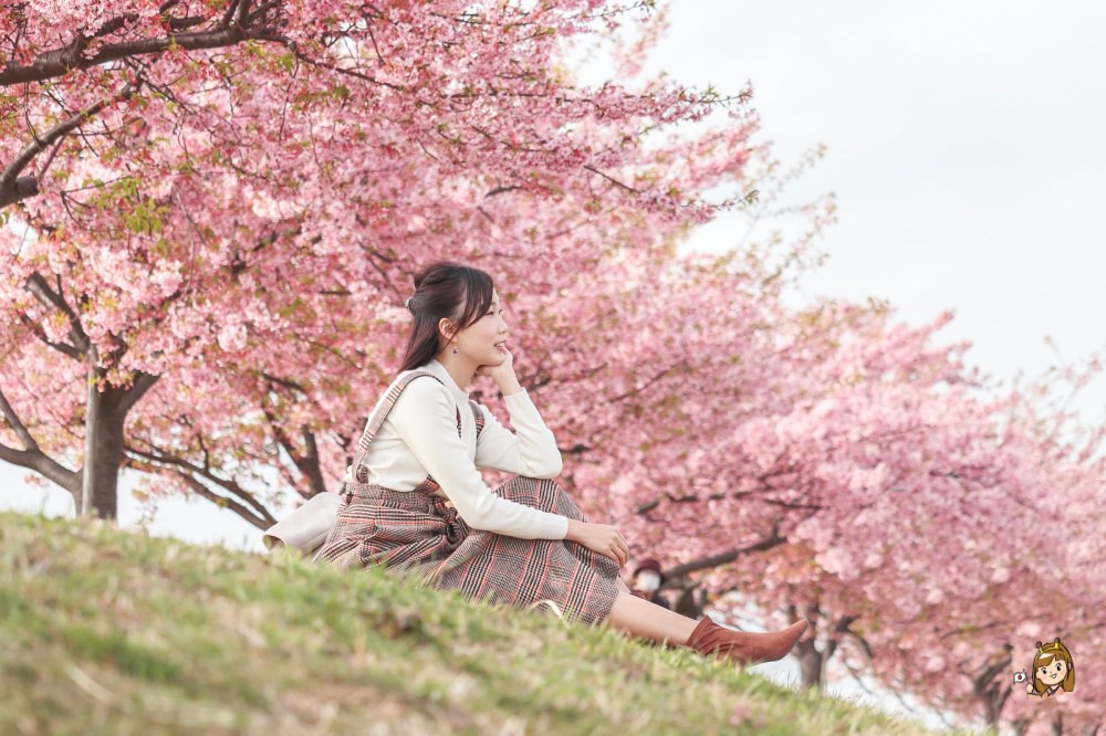 東京賞櫻必去景點23選!上野、千鳥之淵、新宿御苑等櫻花景點與櫻花秘境懶人包~(持續更新) - 第7張圖 千葉櫻花堤公園
