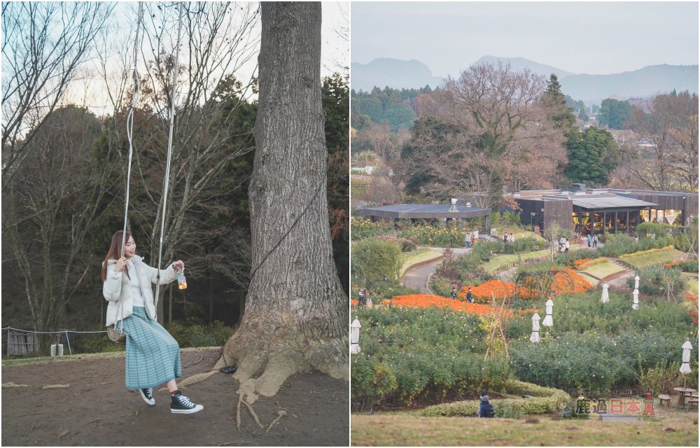 【日本旅遊】來去茨城縣石岡市兩天一夜!IBARAKI FLOWER PARK、看板橫丁、 - 第6張圖 【日本旅遊】來去茨城縣石岡市兩天一夜!IBARAKI FLOWER PARK、看板橫丁、