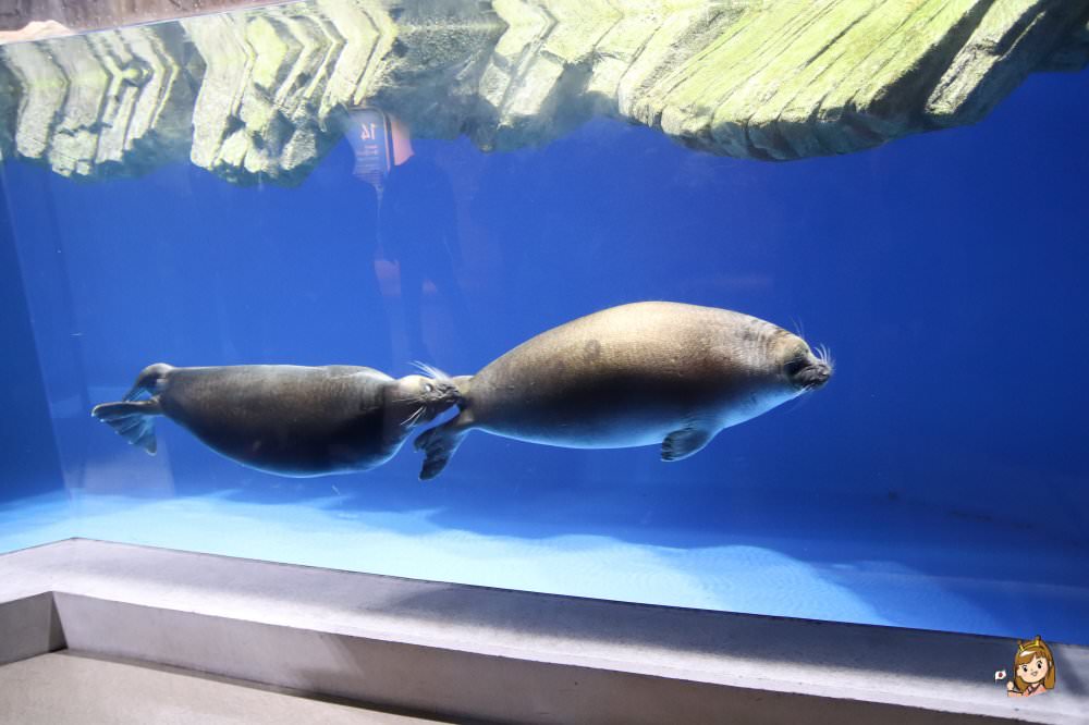 仙台海洋森林水族館