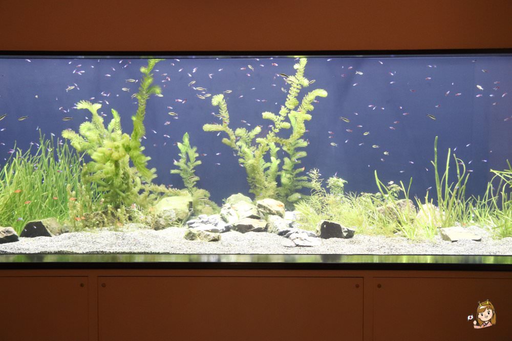 仙台海洋森林水族館