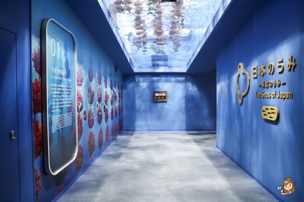 仙台海洋森林水族館