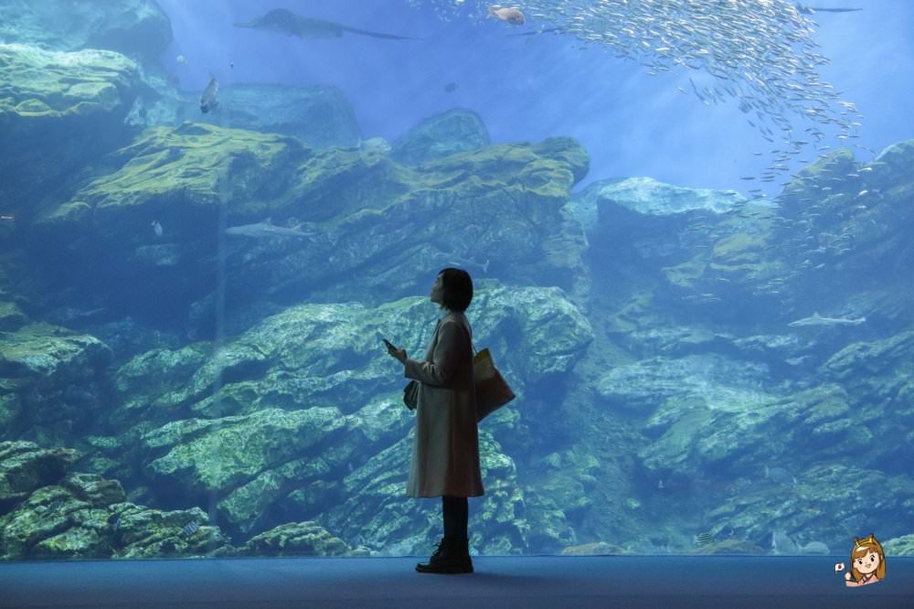ok_仙台水族館-31