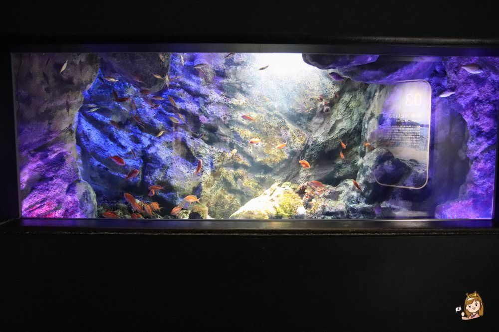 仙台海洋森林水族館