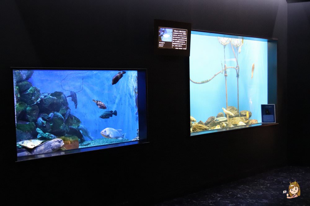 仙台海洋森林水族館