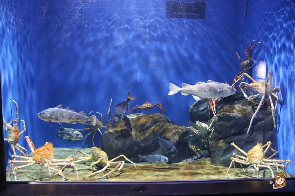 仙台海洋森林水族館