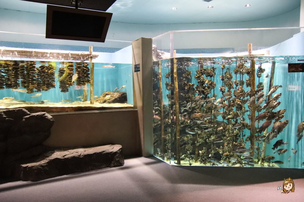 仙台海洋森林水族館