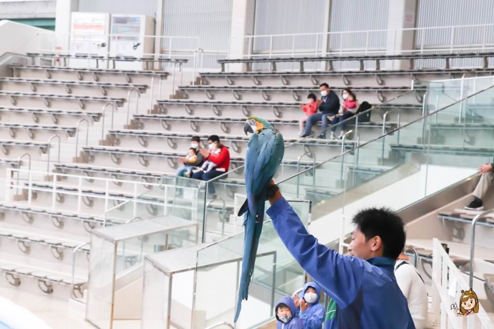 仙台海洋森林水族館