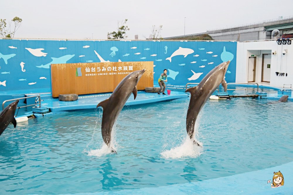 仙台海洋森林水族館