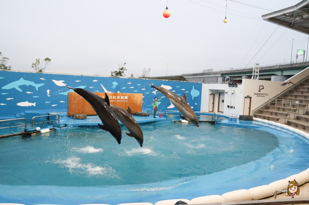仙台海洋森林水族館