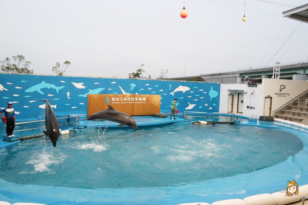 仙台海洋森林水族館