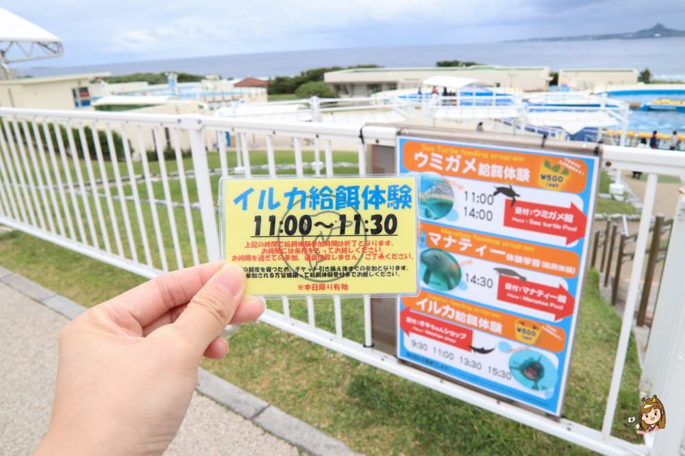 沖繩必去景點「沖繩美麗海水族館」